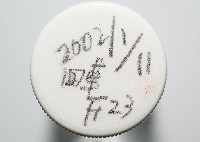臺灣花瓣蛤藏品圖，第4張
