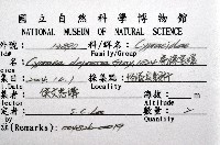 扁緣寶螺藏品圖，第12張
