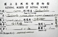 印度聖螺藏品圖，第12張