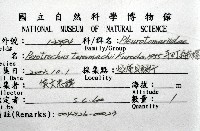 寺町翁戎螺藏品圖，第16張