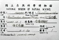 紅翁戎螺藏品圖，第16張