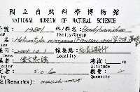 黑白光澤蝸牛藏品圖，第12張