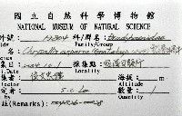 雲嬌蝸牛藏品圖，第12張