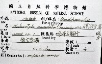 環紋光澤蝸牛藏品圖，第20張