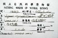 彩虹蝸牛藏品圖，第16張