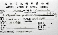 黃雙旋蝸牛藏品圖，第12張