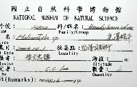 未知種光澤蝸牛藏品圖，第24張