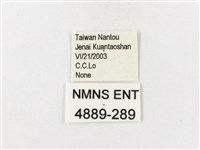 山龍眼螢斑蛾、雙星螢班蛾藏品圖，第3張