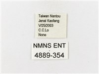 茶帶螢斑蛾藏品圖，第3張