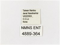 山龍眼螢斑蛾、雙星螢班蛾藏品圖，第3張