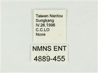 燄駝蛾藏品圖，第3張