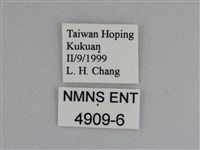 豔粉蝶藏品圖，第3張