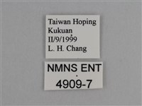 豔粉蝶藏品圖，第3張