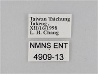 豆環蛺蝶藏品圖，第3張