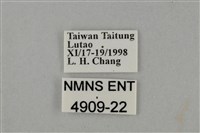 藍灰蝶沖繩亞種藏品圖，第3張