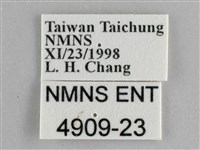 琺蛺蝶藏品圖，第3張