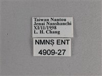 大紅蛺蝶藏品圖，第3張