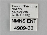 細波遷粉蝶藏品圖，第3張