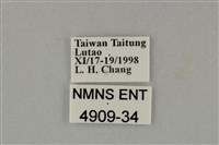 藍灰蝶沖繩亞種藏品圖，第3張