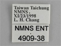 琺蛺蝶藏品圖，第3張