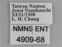 琉璃蛺蝶藏品圖，第3張