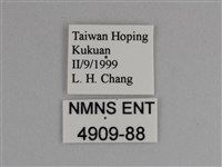 豔粉蝶藏品圖，第3張