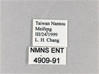 禾弄蝶藏品圖，第3張