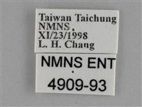 細波遷粉蝶藏品圖，第3張