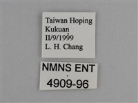 豔粉蝶藏品圖，第3張