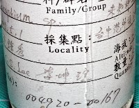 未知種蜾嬴蜚藏品圖，第11張