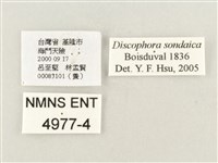方環蝶藏品圖，第3張