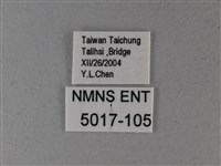 黃鉤蛺蝶藏品圖，第3張