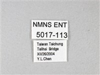 禾弄蝶藏品圖，第3張