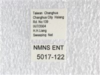 紅珠鳳蝶藏品圖，第3張