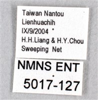 禾弄蝶藏品圖，第3張