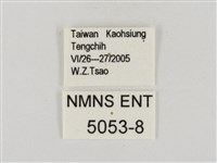 碎紋孔弄蝶藏品圖，第3張