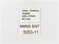 白漪波眼蝶藏品圖，第3張