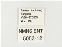 黃裙遷粉蝶藏品圖，第3張