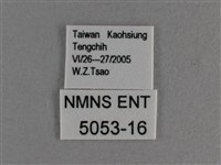 曲紋袖弄蝶藏品圖，第3張