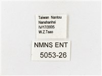 古眼蝶藏品圖，第3張