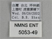 異色尖粉蝶藏品圖，第3張