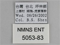 藍紋鋸眼蝶藏品圖，第3張