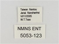 白裙弄蝶藏品圖，第3張