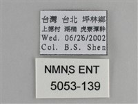青眼蛺蝶、孔雀青蛺蝶藏品圖，第3張