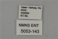 藍灰蝶沖繩亞種藏品圖，第3張