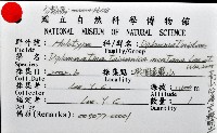 高山台灣芝麻蝸牛藏品圖，第6張