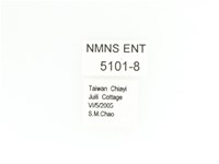 細腳騷金龜藏品圖，第2張