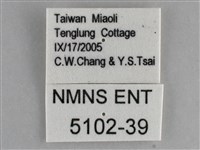 琉璃蛺蝶藏品圖，第3張