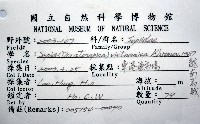 越南烏賊藏品圖，第12張