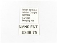 重陽木螢斑蛾藏品圖，第3張